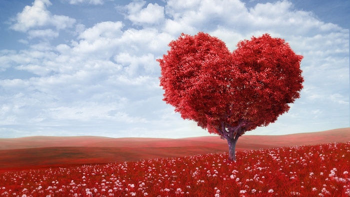 A heart-shaped tree in a field of red flowers