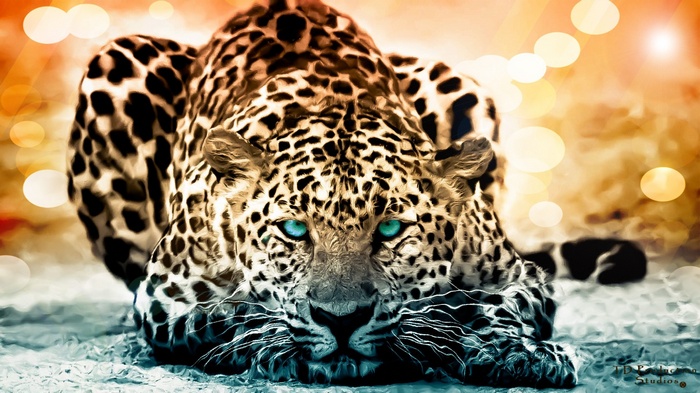 Artwork of a leopard with blue eyes