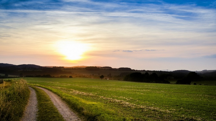 Dirt road through a green field at sunset