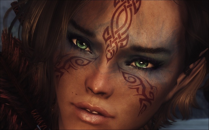 Elf with face paint from The Elder Scrolls V: Skyrim
