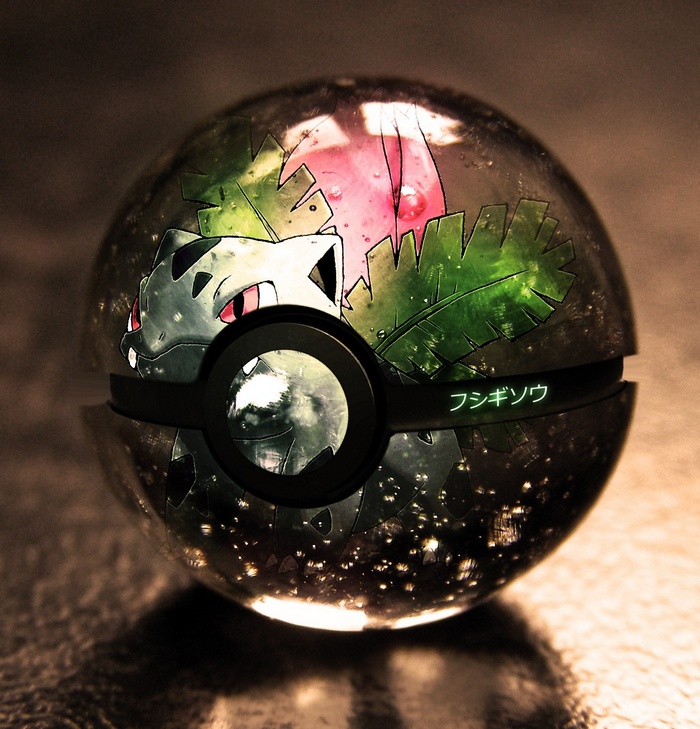 Pokemon Pokeball with Bulbasaur inside