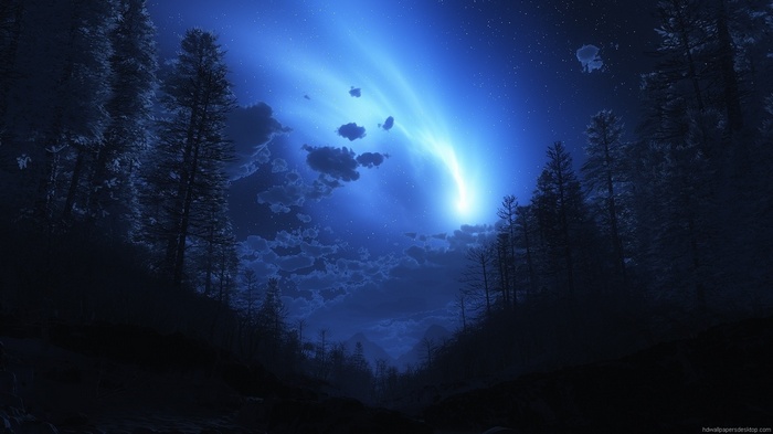 Starry night sky over a dark forest landscape