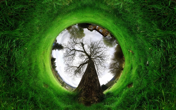 A tiny planet view of a tree and a house