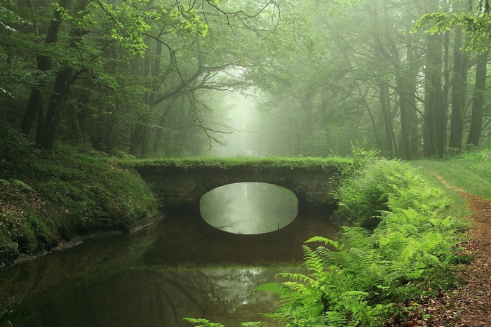 Stone bridge over a canal in a misty forest