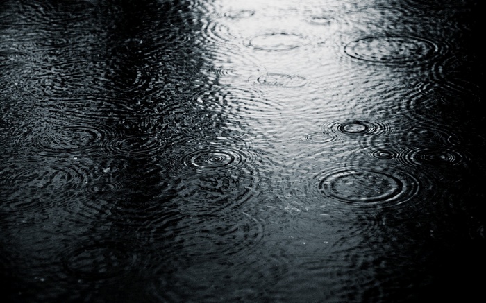 Raindrops creating ripples on a dark water surface