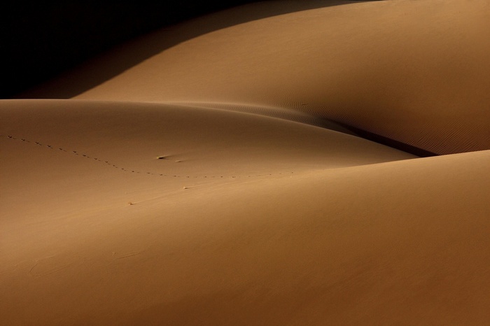 nature, landscape, sand, suggestive, dune, desert