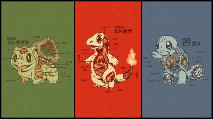 Anatomical Diagrams of Bulbasaur, Charmander, and Squirtle
