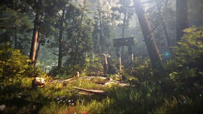 The Witcher 2: Assassins of Kings forest ruins