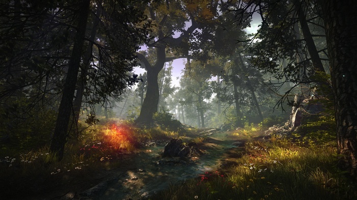 The Witcher 2: Assassins of Kings forest scene