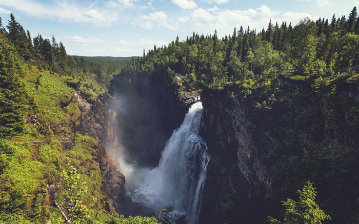 Waterfall in a forest valley
