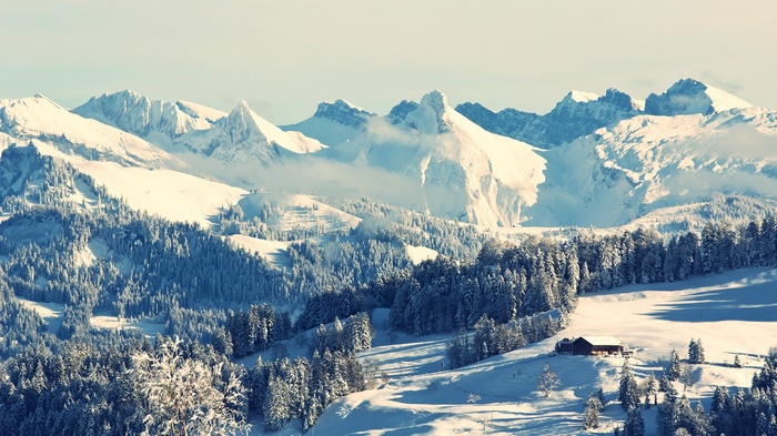 Snowy mountains with pine trees and a cabin