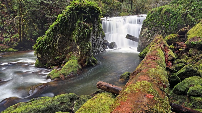 Mossy rocks and a waterfall in a forest