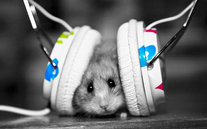 DJ Hamster with Headphones