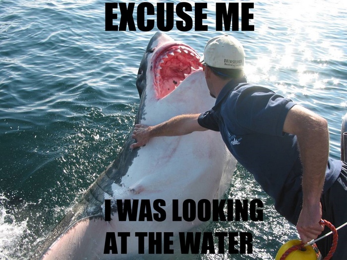 Shark and man in water with text