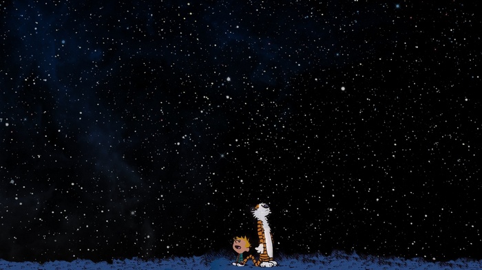 Calvin and Hobbes looking at the starry night sky