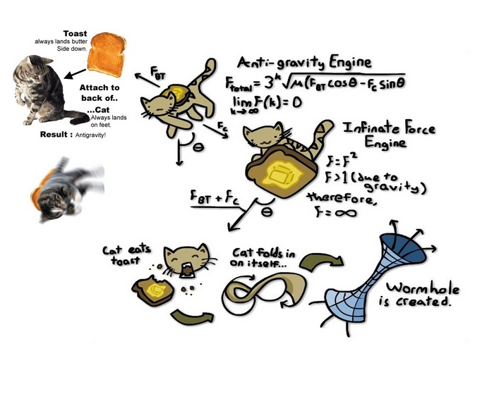Cat and toast physics experiment creating a wormhole