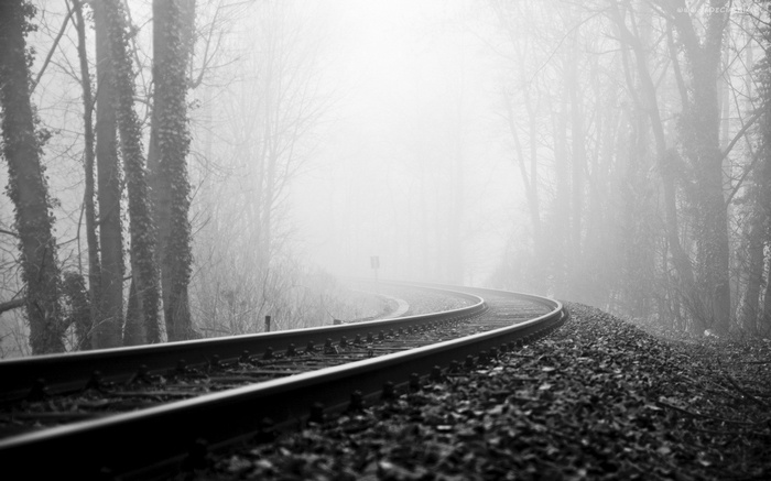 Railway tracks curving through a foggy forest