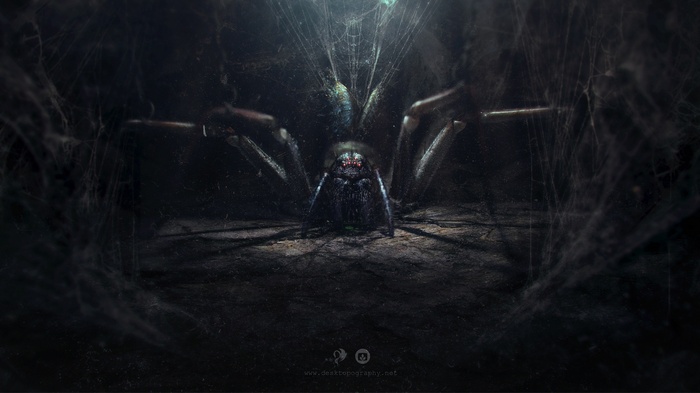Spider in a dark, web-filled environment