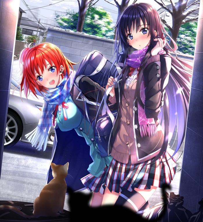 Yukinoshita Yukino and Yuigahama Yui with a cat
