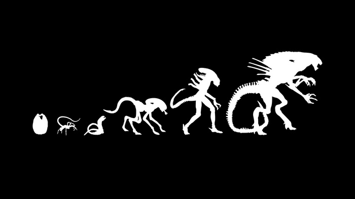 Xenomorph evolution from egg to adult
