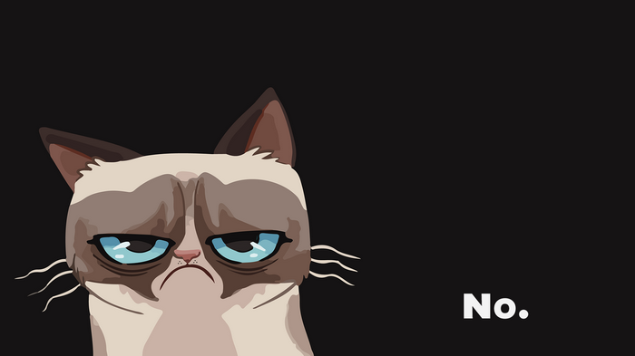 Grumpy Cat with "No." text