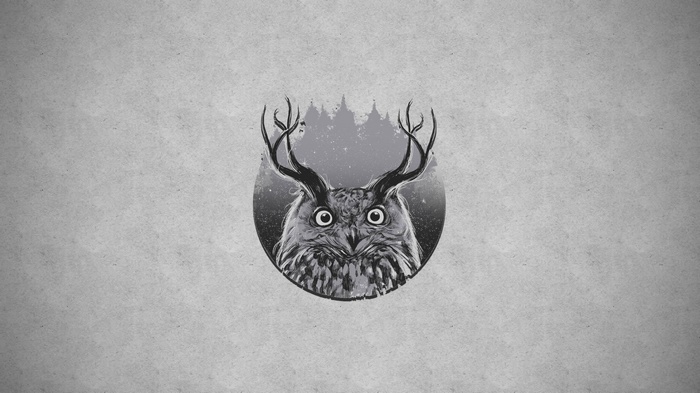 Owl with antlers and forest background