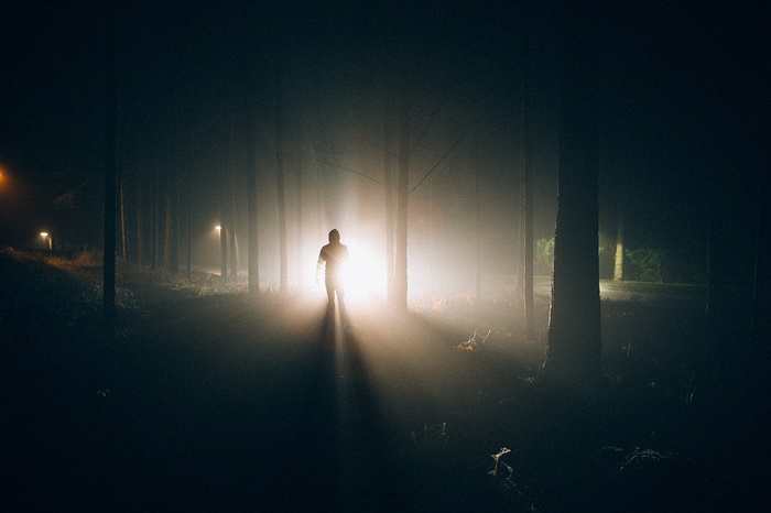 Silhouette of a person in a foggy forest at night