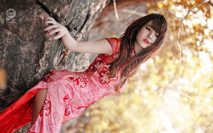 model, Chinese dress, brunette, women outdoors, women, Asian, Cheongsam, long hair