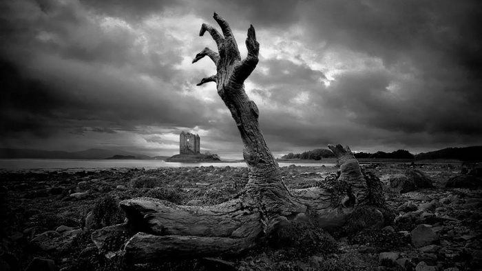 Monochrome image of a dead tree and a castle ruin