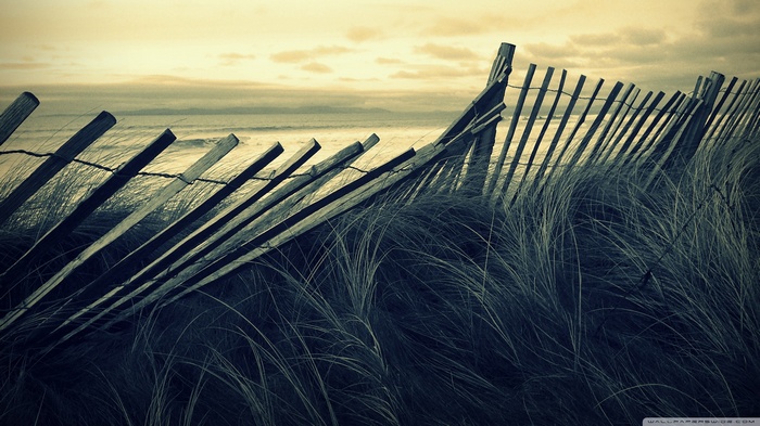 Wooden fence on a beach with tall grass