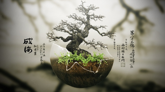 Bonsai tree in a glass terrarium with Japanese calligraphy