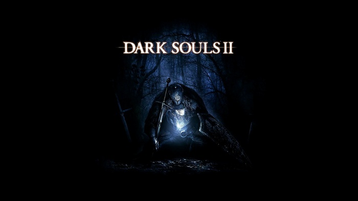 Dark Souls II Knight in a Dark Forest