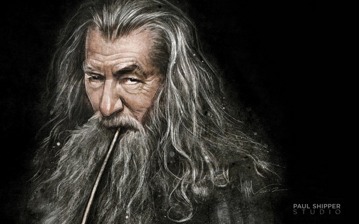 Gandalf the Grey from The Lord of the Rings