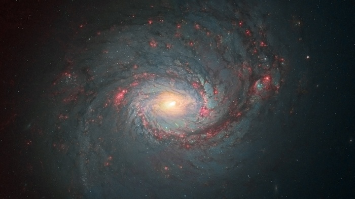 Messier 77 Spiral Galaxy