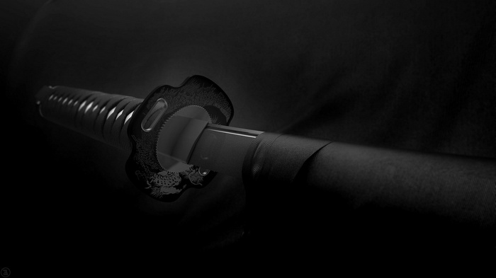 Monochrome katana with dragon tsuba