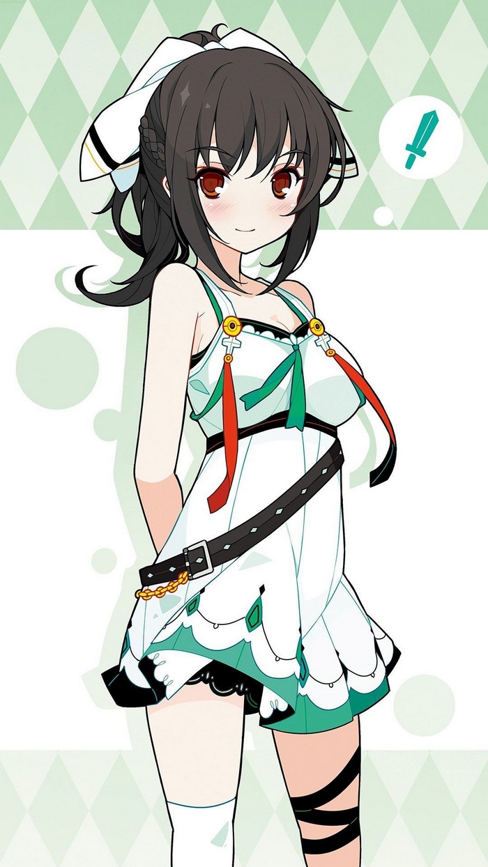 Shinonono Houki from Infinite Stratos