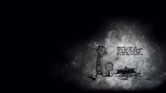 Calvin and Hobbes contemplating the universe