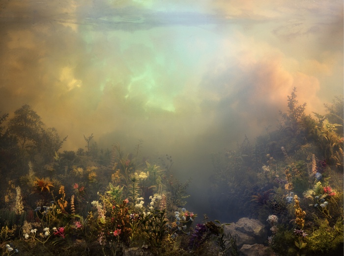 Colorful flowers and plants under a cloudy sky