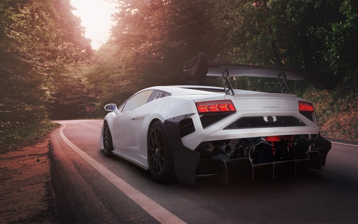 White Lamborghini race car on a forest road