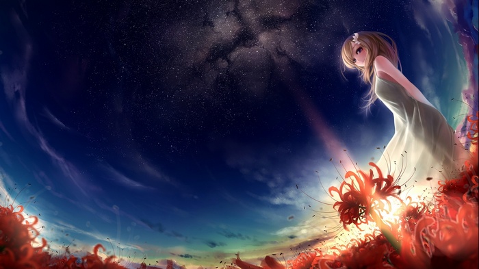 Anime girl in a field of red flowers under the stars