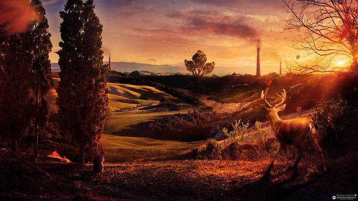 Deer in a landscape at sunset with industrial pollution