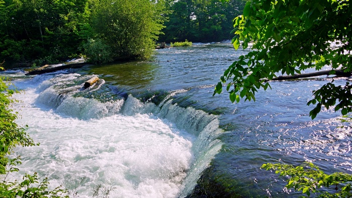 River with small waterfalls and trees