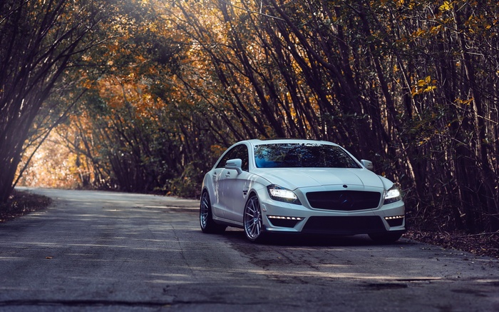 White Mercedes-Benz CLS parked on a tree-lined road