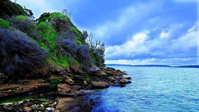Rocky coast with lush vegetation and blue sky