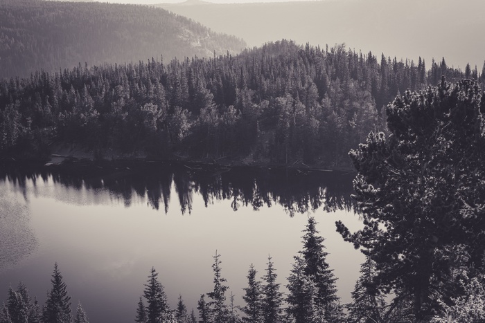 Monochrome landscape of trees reflecting in a lake