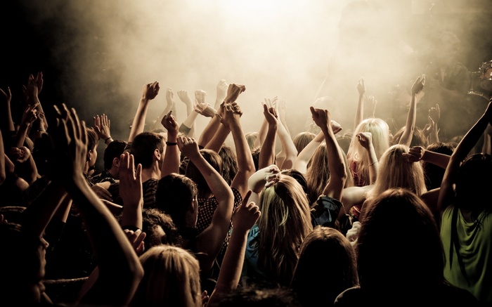 Crowd with arms raised in a concert
