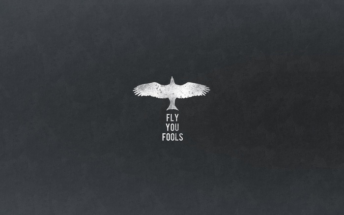 Gandalf's Quote "Fly You Fools" from Lord of the Rings