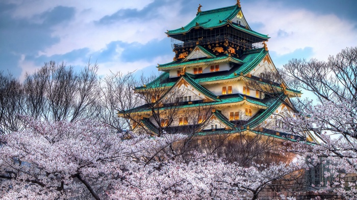 Osaka Castle surrounded by cherry blossoms in Japan
