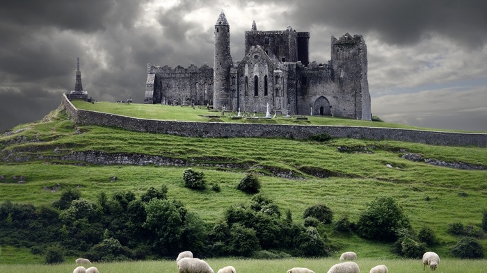 Rock of Cashel castle ruins in Ireland with sheep