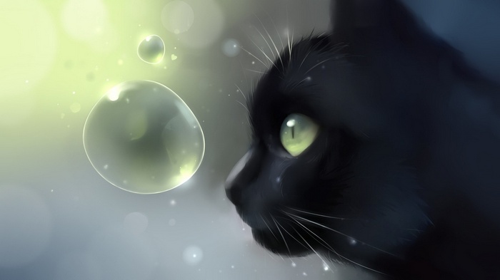 Black cat with green eyes looking at bubbles